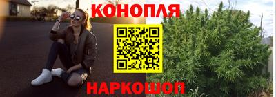 твердый Бийск
