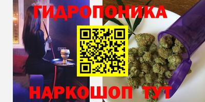 твердый Бийск